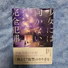 少女には向かない完全犯罪