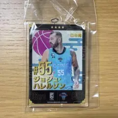ジョシュ・ハレルソン #55 キーホルダー