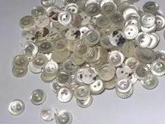 高瀬貝ボタン 10mm 50個セット