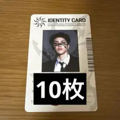 &TEAM マキ　IDENTITYCARD 10枚
