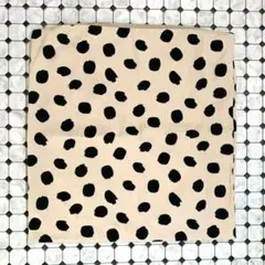 Item thumbnail for item ab3e7f78-8e09-4663-9a3e-39db5a8db235