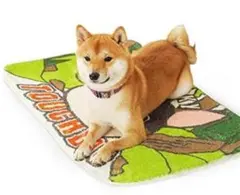 激かわ☆ペットマット 洗える滑り止め猫用犬用マットカーペット 玄関マット抗菌防臭