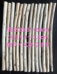 流木 14本 23.5〜24cm (24-02)