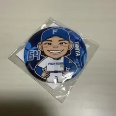 ファイターズ ガチャ 缶バッジ 田宮裕涼