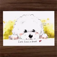 イラスト 原画 ポストカード 絵 【ビジョンフリーゼ】96