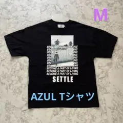 【人気❗️】AZUL プリントTシャツ メンズ 黒 Mサイズ