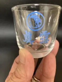 Item thumbnail for item 866d227f-6d61-46f0-915b-75ae46833d27