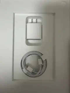 USB充電器とLightningケーブルセット