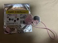 阪神タイガース　シークレット　シャカシャカヘアゴム　中野拓夢
