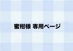 専用ページ
