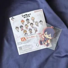 【新品未開封】ハイキュー!! 一番くじH賞 影山飛雄