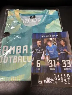クリアファイル付き！GAMBA SONIC 2025サッカーシャツ Fサイズ