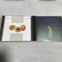 Item thumbnail for item 256a3203-f9d4-4971-9a20-027f21ab72f8