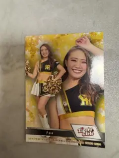 Item thumbnail for item d94bf452-e557-4ed6-bdd7-f8e3cfb0329b