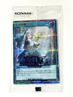2025年最新】天の加護 red ラッシュデュエルの人気アイテム