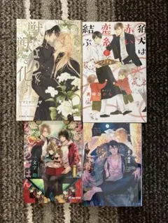 文庫本4冊セット BL小説