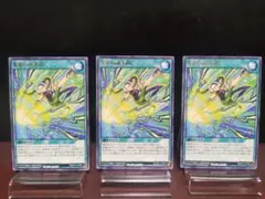 【929遊戯王RD】楽姫の前奏曲　③枚
