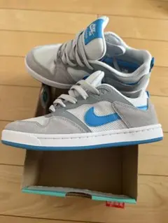 Nike SB Alleyoop グレー/ブルー 23cm スニーカー　箱無し