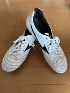 モナルシーダネオ 取替式