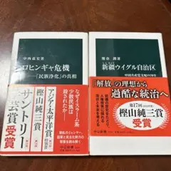 ロヒンギャ危機と新疆ウイグル自治区