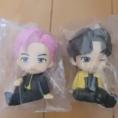 タイニータン りらこっとセット RM V