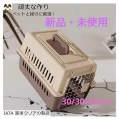 Item thumbnail for item 149fd378-dfde-43ac-a118-48ef2e3e971e