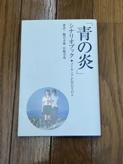 青の炎 シナリオブック メイキングPHOTO付　嵐　二宮和也主演　映画　シナリオ