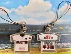 第97回選抜高等学校野球大会記念ストラップ【浦和実業】