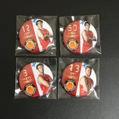 新品 非売品 Bリーグ 名古屋ダイヤモンドドルフィンズ 缶バッジ 4個セット