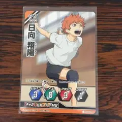 3601 ノーマルバボ 日向 翔陽 ハイキューバボカ ハイキュー
