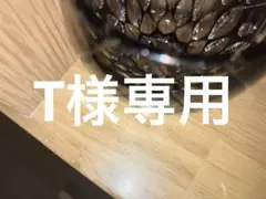 専用