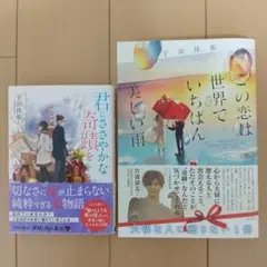 【美品！】宇山佳佑による恋愛小説 2冊セット【単行本・文庫本】