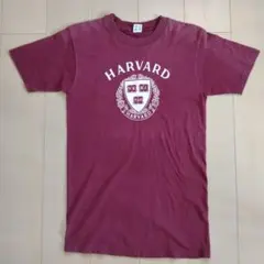 チャンピオン Tシャツ トリコタグ M アメリカ製 ハーバード HARVARD