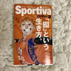 ハイキュー ショーセツバン 日向翔陽