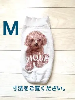 Item thumbnail for item a5816bfd-e132-46d3-9c92-18e3cf89942d