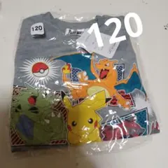 ポケモンロンT 120サイズ