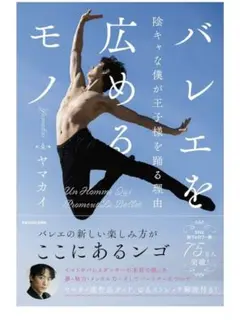 ●専用● ヤマカイ　The Ballet Show 　DVD＋パンフレットセット ヤマカイ/The Ballet Showパンフレット - メルカリ