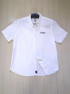 Item thumbnail for item 4b287e1b-033b-46ee-98e1-8a9fd7061d1e