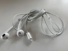 Item thumbnail for item 896dada4-e3cb-4dd7-901b-0c1cec43ccf7