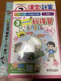 新興出版社付録　3年生 総復習ドリル
