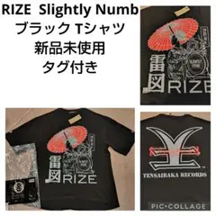 RIZE 雷図 逆天 TENSAIBAKA TEAM Tシャツ Mサイズ 2025年最新】RIZE Tシャツ 天の人気アイテム - メルカリ