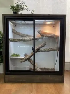 ＦandＫ爬虫類木製ケージ　Couronne(クローヌ) FandK爬虫類木製ケージ Couronne(クローヌ)