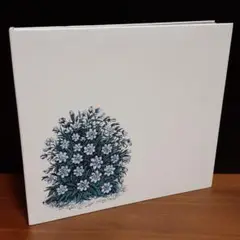 MARIHIKO HARA 『FLORA』