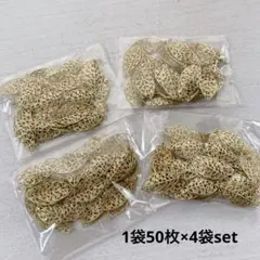 ht564/SALE！パーツ◇リーフ 葉っぱ形 50枚入り×4袋set