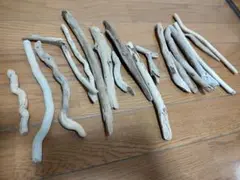 流木