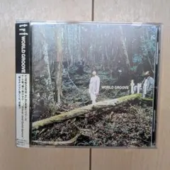 trf WORLD GROOVE CD