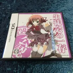 生徒会の一存 -DSする生徒会-