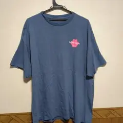 Brundle Mountain Lions Tシャツ ネイビー海外古着　メンズ