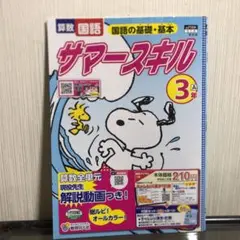 サマースキル3年 ドリル