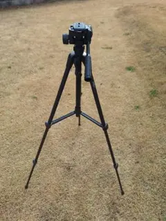 Item thumbnail for item 1b1d0023-0560-466a-bf04-359a1e2c5dd7